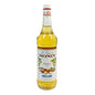 Monin Syrup Hazelnut Unsweetened (1000 ml)